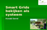 Smart Grids bekijken als systeem Ronald Serné. Het probleem.