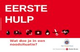 EERSTE HULP © 2012 Het Nederlandse Rode Kruis Wat doe je in een noodsituatie?