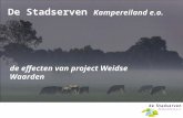 De Stadserven Kampereiland e.o. de effecten van project Weidse Waarden.