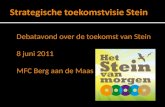Debatavond over de toekomst van Stein 8 juni 2011 MFC Berg aan de Maas.