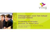 Uitdagingen voor het lokaal sociaal beleid Studiedag ACW-kader Brussel, 15 maart 2012 Piet Van Schuylenbergh, directeur afdeling OCMW’s VVSG.