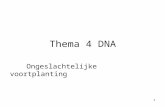 1 Thema 4 DNA Ongeslachtelijke voortplanting. 2 DNA en erfelijkheid Vaak lijk je op je ouders of één van je ouders. Veel eigenschappen en uiterlijke kenmerken.