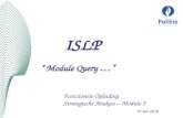 ISLP “ Module Query …” Functionele Opleiding Strategische Analyse – Module 5 19 mei 2010.