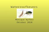 Waterroofkevers Monique Wyfker Oktober 2010. Inhoud Keverweetjes Taxonomische indeling Onderdelen van de Kever Waterroofkevers kenmerken Schrijvertje.