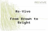 Re-Vive From Brown to Bright. Impact Investment Re-Vive ontwikkelt duurzame vastgoedprojecten op brownfield sites met als doelstelling sociale, ecologische.