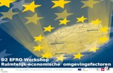 Europa werkt in de provincie Antwerpen en de Stad Antwerpen D2 EFRO Workshop Ruimtelijk-economische omgevingsfactoren.