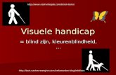 Visuele handicap = blind zijn, kleurenblindheid,…  .