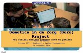 Domotica in de Zorg (DoZo) Project het sociaal-medisch netwerk rond de patiënt Hans de Bruin Lector ICT – Business & System Integration 26 november 2010.