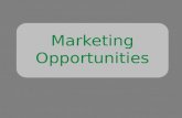Marketing Opportunities. Nieuwe Positionering/Merkmissie Living Technology.