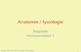 FHV2009 / Cxx55 9+10 / Anatomie & Fysiologie - Hormoonstelsel 1 1 Anatomie / fysiologie Regulatie Hormoonstelsel 1.