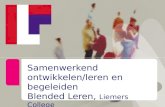 Samenwerkend ontwikkelen/leren en begeleiden Blended Leren, Liemers College.