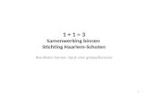 1 1 + 1 = 3 Samenwerking binnen Stichting Haarlem-Schoten Resultaten Survey: input voor groepsdiscussie.