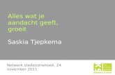 Alles wat je aandacht geeft, groeit Saskia Tjepkema Netwerk stedendriehoek, 24 november 2011.