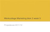 Propedeuse 2011/12 Werkcollege Marketing blok 2 week 5.