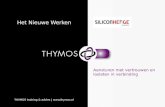 THYMOS training & advies |  Het Nieuwe Werken Aansturen met vertrouwen en loslaten in verbinding.