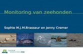 Monitoring van zeehonden Sophie M.J.M.Brasseur en Jenny Cremer.