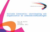 Sociale innovatie: vernieuwing van organisatie en arbeidsverhoudingen Ton de Korte VOKVOA november 2011.