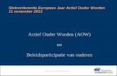 Www.vlaamse-ouderenraad.be Slotconferentie Europees Jaar Actief Ouder Worden 11 november 2012 Actief Ouder Worden (AOW) en Beleidsparticipatie van ouderen.