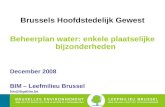 Brussels Hoofdstedelijk Gewest Beheerplan water: enkele plaatselijke bijzonderheden December 2008 BIM â€“ Leefmilieu Brussel fon@
