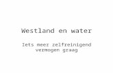 Westland en water Iets meer zelfreinigend vermogen graag.