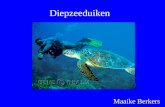 Diepzeeduiken Maaike Berkers. Inhoud Belangrijke regels bij het duiken Duikuitrusting Opleidingen en lessen Gevaren Snorkelen.