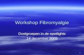 1 Workshop Fibromyalgie Doelgroepen in de spotlights 14 december 2009.