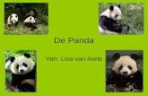 De Panda Van: Lisa van Aarle. Inhoud 1.Welke soorten panda’s zijn er? 2.Het leefgebied van de reuzenpanda. 3.Hoe ziet de reuzenpanda eruit? 4.Eten en.