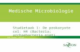 Kom verder. Saxion. Medische Microbiologie Studietaak 1: De prokaryote cel: H4 (Bacteria; archaebacteria niet)