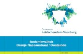 03-7-2013 Bodemkwaliteit Oranje Nassaustraat / Oosteinde.