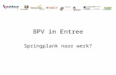 BPV in Entree Springplank naar werk?. Inhoud Status entree-opleiding Kenniscentra (in de techniek) ROC’s: Entree opleiding Praktijkoriëntatie Beroepspraktijkvorming.
