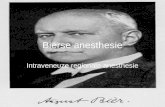 Bierse anesthesie Intraveneuze regionale anesthesie.