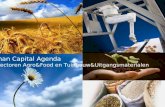 Human Capital Agenda Topsectoren Agro&Food en Tuinbouw&Uitgangsmaterialen