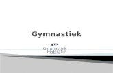 Gymnastiek Definitie Disciplines  In België Federatie Turner/turnsters  In Praktijk Bewegingen Handstand Radslag Didactisch materiaal Kijkwijzers.