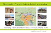 Stappenplan Promotie (citymarketing) Veenendaal Stichting Promotie Veenendaal versie 30 juni 2010 Opsteller: Roeland Tameling.