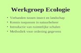 Werkgroep Ecologie Verbanden tussen insect en landschap Kennis toepassen in natuurbeheer Introductie van ruimtelijke schalen Methodiek voor ordening gegevens.