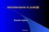 Bemefa 20021 Monstername in praktijk Bemefa-Apfaca.