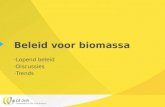 Beleid voor biomassa -Lopend beleid -Discussies -Trends