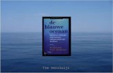 Tim Versluijs. Het boek W. Chan Kim Docent strategie en internationaal management aan Insead (internationale privéschool) Ook adviseur voor grote internationale.
