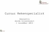 Cursus Rekenspecialist Amarantis derde bijeenkomst 1 november 2011.