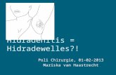 Hidradenitis = Hidradewelles?! Poli Chirurgie, 01-02-2013 Mariska van Haastrecht.