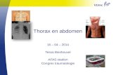 Thorax en abdomen 16 – 04 – 2014 Tessa Biesheuvel AFAS stadion Congres traumatologie.