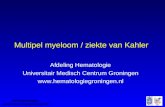 Afd Hematologie;  Multipel myeloom / ziekte van Kahler Afdeling Hematologie Universitair Medisch Centrum Groningen .