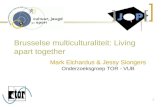 Brusselse multiculturaliteit: Living apart together Mark Elchardus & Jessy Siongers Onderzoeksgroep TOR - VUB 1