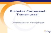 Diabetes Carroussel Transmuraal Consultaties en Verwijzingen.