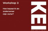 Workshop 3 Hoe bepaal ik als ondernemer mijn niche?