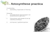 Fotosynthese practica Voorbereiding 0.Doelstelling, Organisatie en Planning Uitvoering 1.Energiebindende eigenschappen van fotosynthetische pigmenten 2.Fotosynthese.