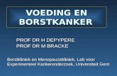 VOEDING EN BORSTKANKER PROF DR H DEPYPERE PROF DR M BRACKE Borstkliniek en Menopauzekliniek, Lab voor Experimenteel Kankeronderzoek, Universiteit Gent.