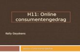 H11: Online consumentengedrag Kelly Geyskens Lessius, Consumentengedrag.