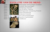 EVOLUTIE VAN DE MENS Slide 2Belangrijke tweevoetige vondsten Slide 3Evolutie Mensachtigen Slide 4 Oorsprong mensen Slide 5 Out of Africa Theorie Slide.