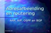 20 november 20011 Adresafbeelding en routering ARP, RIP, OSPF en BGP.